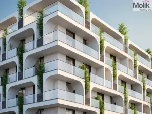 Prodej bytu 2+kk, Golem, 54 m2