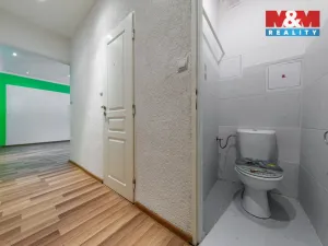 Prodej bytu 2+1, Habartov, Okružní, 57 m2