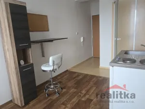 Pronájem bytu 1+kk, Opava - Předměstí, Haškova, 14 m2