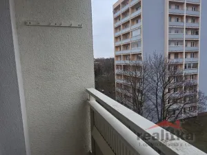 Pronájem bytu 1+kk, Opava - Předměstí, Haškova, 14 m2
