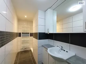 Prodej výrobních prostor, Nečín, 400 m2