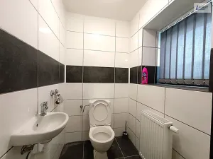 Prodej výrobních prostor, Nečín, 400 m2