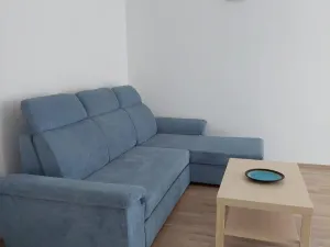 Pronájem bytu 2+1, Praha - Žižkov, Žerotínova, 70 m2