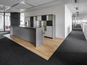 Pronájem kanceláře, Praha, Pikrtova, 351 m2