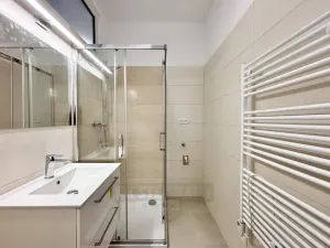 Pronájem bytu 1+1, České Budějovice - České Budějovice 3, Riegrova, 39 m2