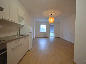 Pronájem bytu 1+kk, Olomouc, Novosadský dvůr, 64 m2