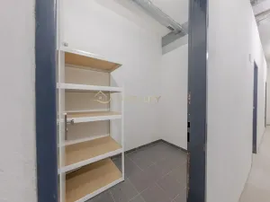 Pronájem bytu 2+kk, Olomouc, Věry Pánkové, 61 m2