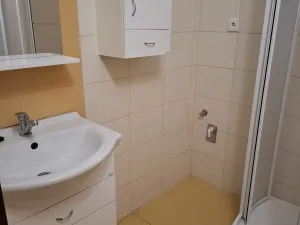 Prodej bytu 3+1, Tábor, Varšavská, 74 m2