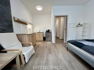 Pronájem bytu 1+kk, Brno, Životského, 24 m2