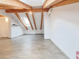 Pronájem bytu 4+1, Praha - Žižkov, Na Jarově, 122 m2