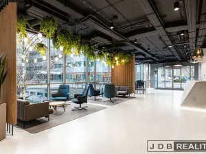 Pronájem kanceláře, Praha - Holešovice, Jankovcova, 20 m2