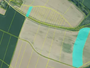 Prodej pole, Cizkrajov, 87688 m2