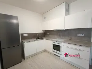 Pronájem bytu 1+kk, Ostrava, Důlní, 54 m2