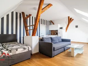 Pronájem apartmánu, Ostrava, Cihelní, 43 m2