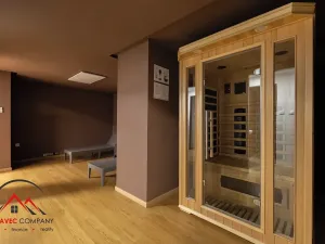 Pronájem apartmánu, Ostrava, Cihelní, 43 m2