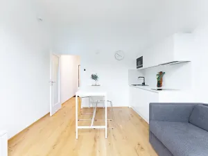 Pronájem bytu 1+kk, Praha, Na dračkách, 29 m2