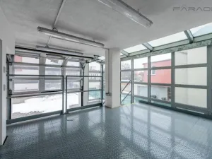 Pronájem skladu, Mladá Boleslav - Mladá Boleslav II, 450 m2