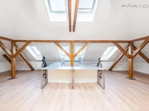 Pronájem skladu, Mladá Boleslav - Mladá Boleslav II, 450 m2