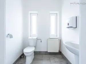 Pronájem skladu, Mladá Boleslav - Mladá Boleslav II, 450 m2