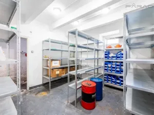 Pronájem skladu, Mladá Boleslav - Mladá Boleslav II, 450 m2