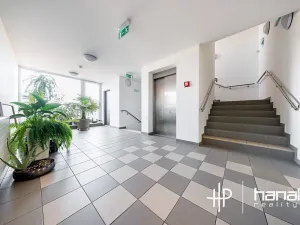 Pronájem bytu 2+kk, Olomouc, Wolkerova, 61 m2