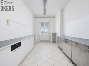 Prodej skladu, Miroslav, Havlíčkova, 1190 m2