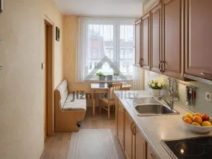 Prodej bytu 2+1, České Budějovice, Puklicova, 64 m2