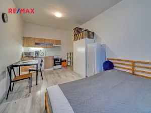 Pronájem bytu 1+kk, Milovice, Slepá, 25 m2