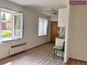 Pronájem bytu 1+kk, Bučovice, Revoluční, 30 m2
