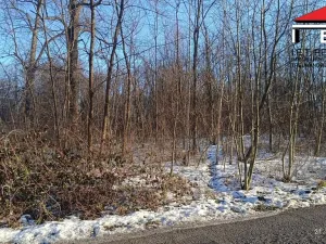 Prodej pozemku pro bydlení, Ostrava - Hrušov, 5802 m2