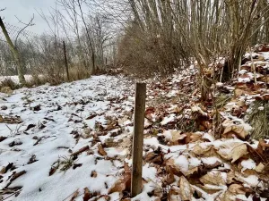 Prodej pozemku pro bydlení, Vratimov, Hřbitovní, 1714 m2