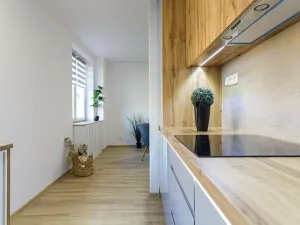 Pronájem bytu 2+kk, Ostrava, Letecká, 52 m2