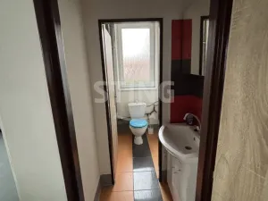 Pronájem výrobních prostor, Krnov, Libušina, 155 m2