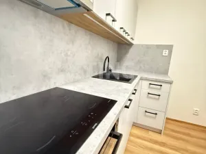 Pronájem bytu 2+1, Olomouc, Wolkerova, 54 m2