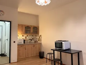 Pronájem bytu 1+kk, Brno, Halasovo náměstí, 26 m2