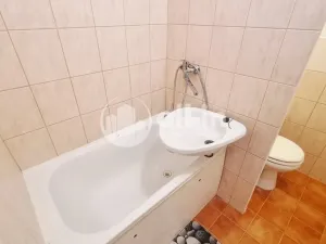 Pronájem bytu 1+1, Vyškov - Vyškov-Předměstí, Sportovní, 39 m2