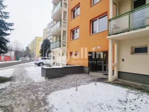 Pronájem bytu 1+1, Vyškov - Vyškov-Předměstí, Sportovní, 39 m2