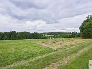 Prodej louky, Osek, 1013 m2