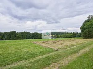 Prodej louky, Osek, 1013 m2