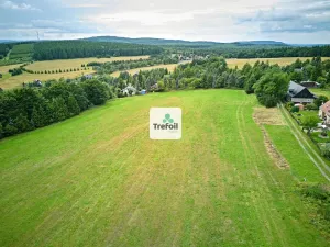 Prodej louky, Osek, 1012 m2