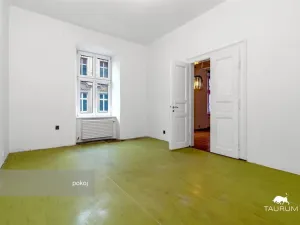 Pronájem bytu 3+kk, Plzeň - Jižní Předměstí, Havlíčkova, 98 m2