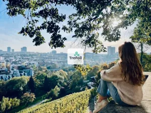 Prodej bytu 1+kk, Praha - Vršovice, 23 m2