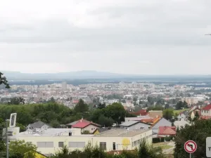 Prodej pozemku pro bydlení, Srubec, 3200 m2