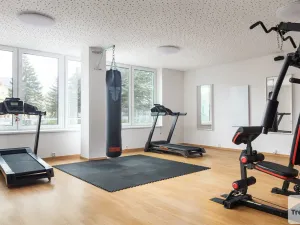 Prodej bytu 2+kk, Trmice, 41 m2