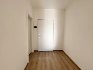 Pronájem bytu 1+kk, České Budějovice - České Budějovice 2, Na Zlaté stoce, 28 m2