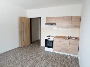 Pronájem bytu 1+kk, Písek - Budějovické Předměstí, Dr. M. Horákové, 20 m2