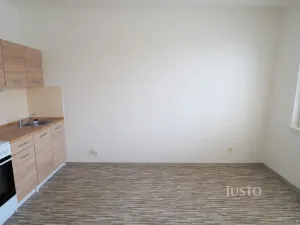 Pronájem bytu 1+kk, Písek - Budějovické Předměstí, Dr. M. Horákové, 20 m2