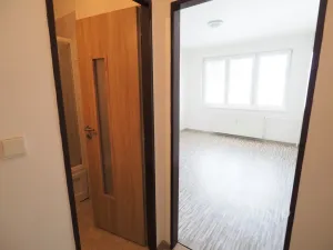 Pronájem bytu 1+kk, Písek - Budějovické Předměstí, Dr. M. Horákové, 20 m2