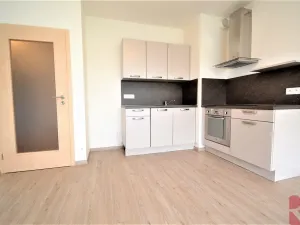 Pronájem bytu 2+kk, Praha - Žižkov, V zahrádkách, 55 m2