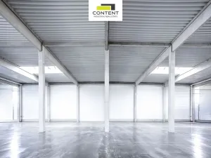 Pronájem výrobních prostor, Karviná - Staré Město, Dětmarovická, 5090 m2